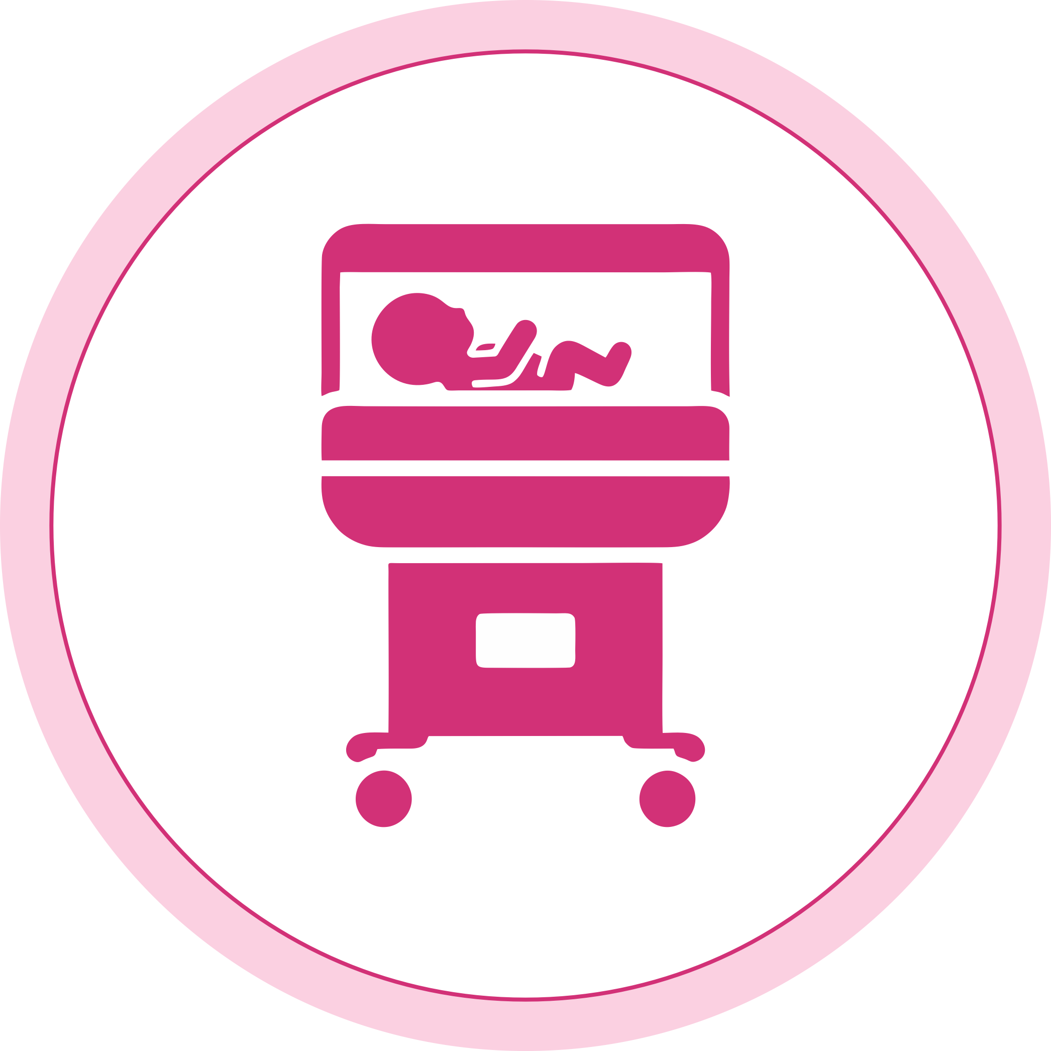 Advanced Neonatal Services
